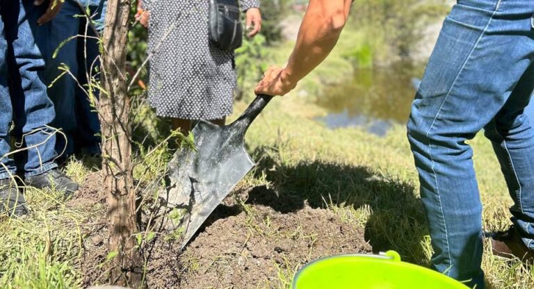 Gobierno de Pepe Chedraui suma 530 nuevos árboles con el programa “Raíces del Futuro”