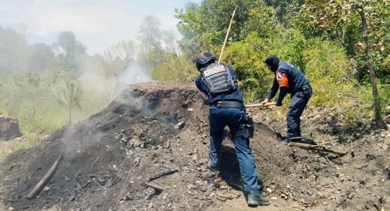 Inhabilita SSP hornos para la deshidratación ilegal de madera