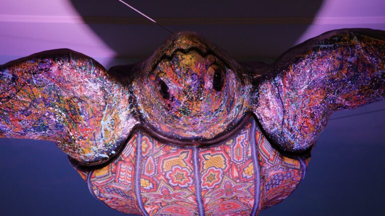 Éxito total: IMACP extiende exposición El murmullo de los océanos