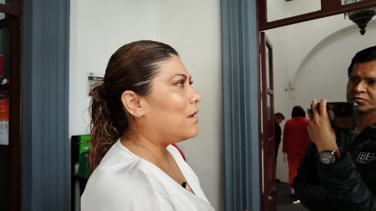 Salarios, licitaciones y CV lo más solicitado por transparencia