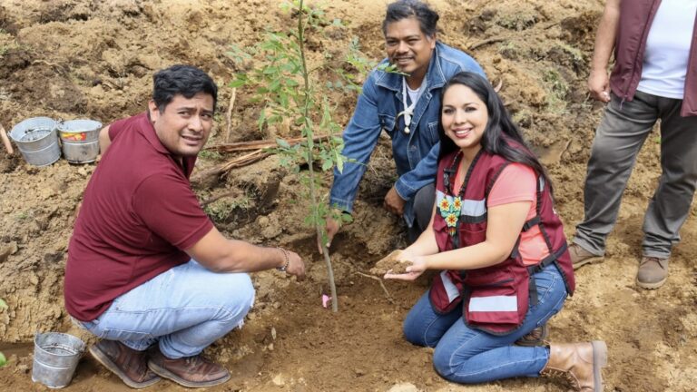 Tonantzin Fernández impulsa acciones ambientales con la jornada “Raíces de Agua” en el Cerro Zapotecas