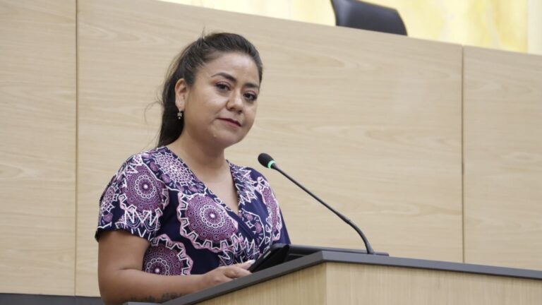 Urgente fortalecer prevención y atención de preeclampsia y eclampsia: Celia Bonaga Ruíz