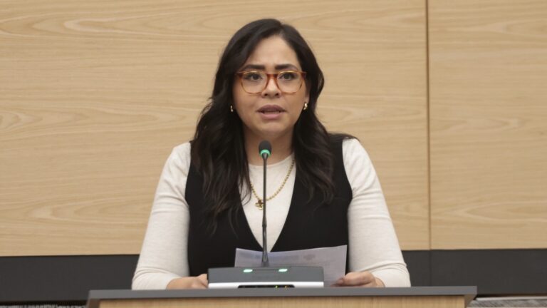 Proponen en el Congreso que ayuntamientos establezcan Unidades Municipales de Atención Forestal