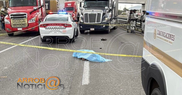 Adulto mayor muere arrollado en la Puebla-Orizaba