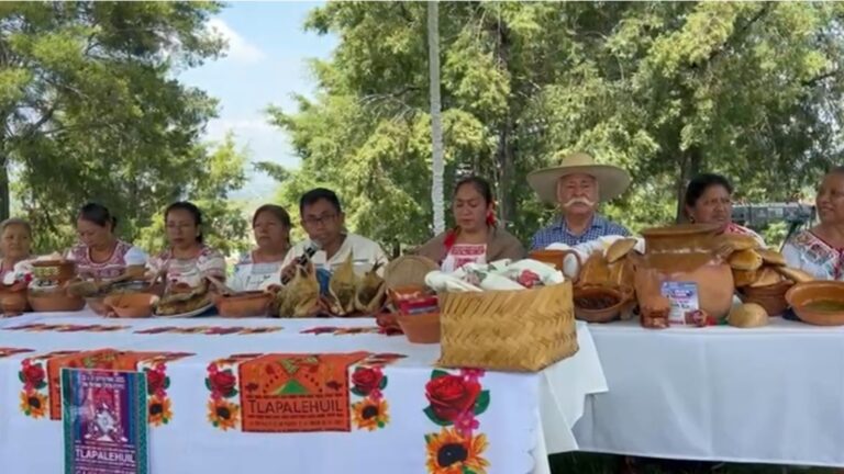 Llega el Tlapalehuil a San Antonio Cacalotepec