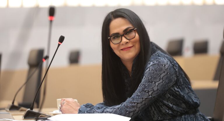 Proponen en el Congreso la creación de un “Fondo de Orfandad” para garantizar el bienestar de menores