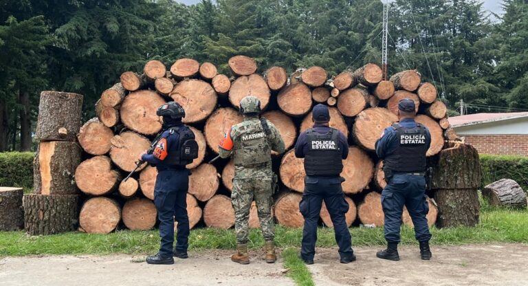 En operativos, SSP asegura más de 130 piezas de madera