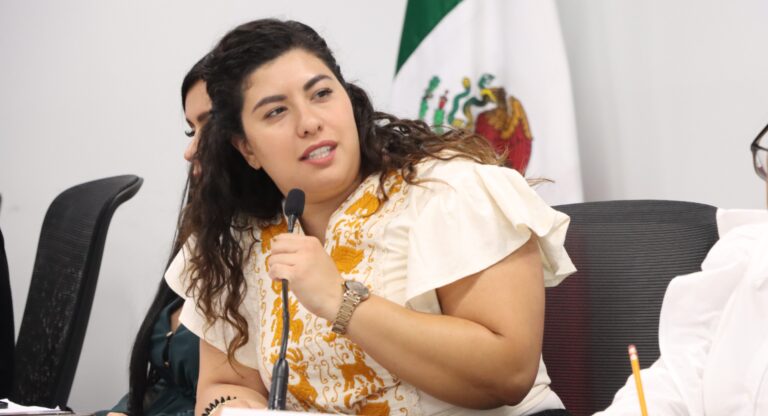 Avala Comisión del Congreso exhorto para destinar recursos al Sistema Estatal de Información Forestal