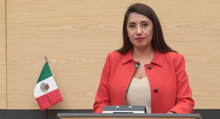 Impulsan en el Congreso exhorto para atender a animales en situación de calle 