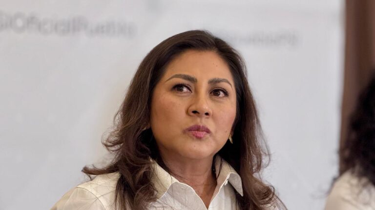 Néstor Camarillo debe rendir una explicación, “la lealtad y la gratitud lo son todo en la política y te hacen una persona confiable”