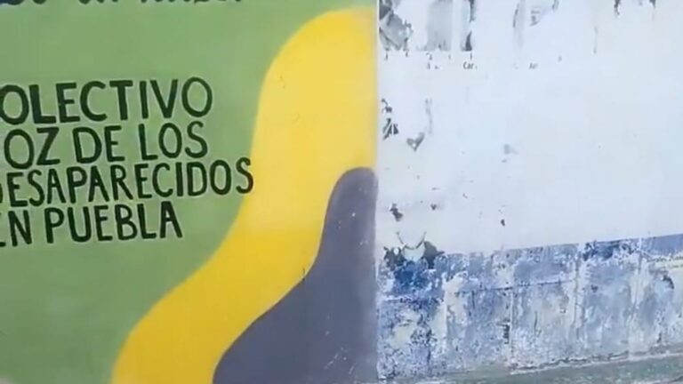 Voz de los Desaparecidos exige colocar nuevamente fichas de búsqueda retiradas