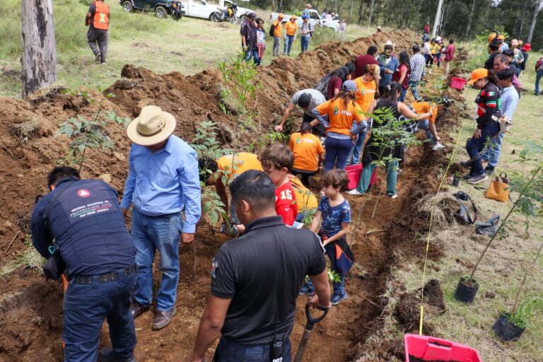 Tonantzin Fernández impulsa acciones ambientales con la jornada “Raíces de Agua” en el Cerro Zapotecas