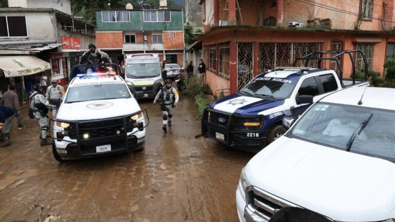 Más de 3 mil elementos brindan auxilio en la Sierra Norte