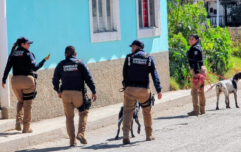 Avanza investigación sobre extremidad encontrada debajo de un puente