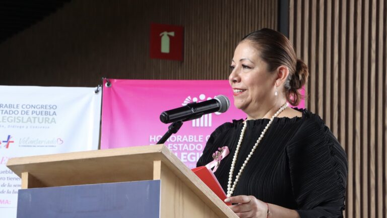 En Congreso del Estado, la vida se defiende con leyes, acciones y amor: Laura Artemisa García 