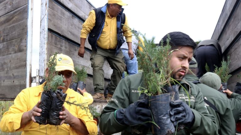 “En Puebla protegemos el medio ambiente”: Alejandro Armenta