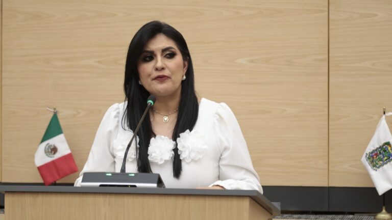 Impulsa diputada Delfina Pozos iniciativa para profesionalizar la defensoría pública y fortalecer la protección de mujeres