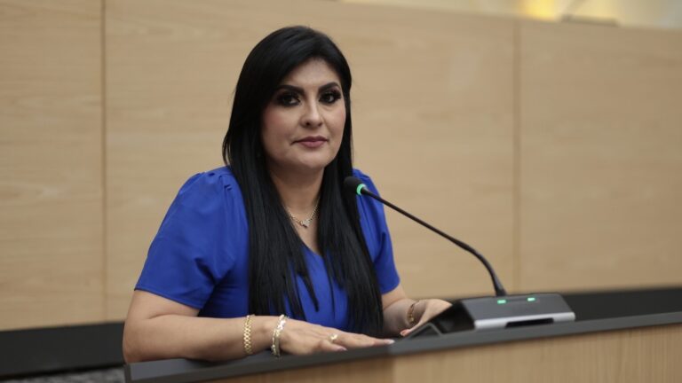 Impulsa Delfina Pozos iniciativa para reconocer y atender la salud mental materna en los servicios de salud pública