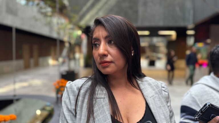 Angélica Alvarado levanta la mano para ser la próxima coordinadora de la bancada del PT