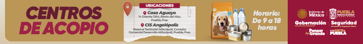 spot_img