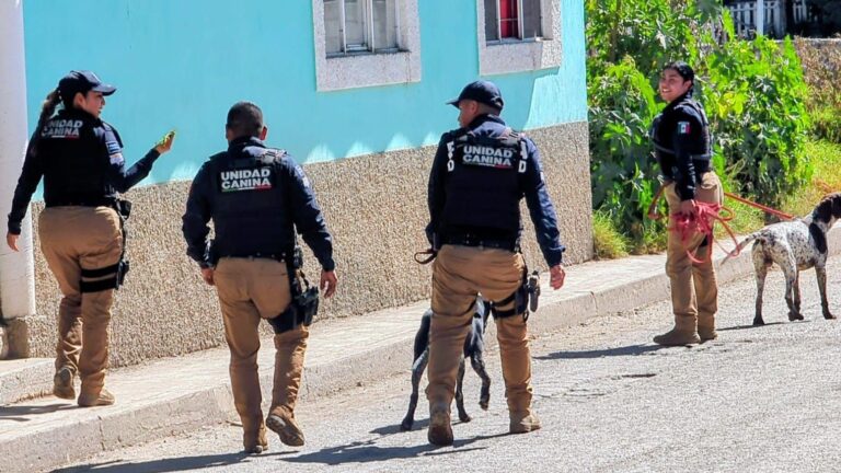 Cabeza hallada en La Resurrección no es de una mujer, pertenece a un hombre