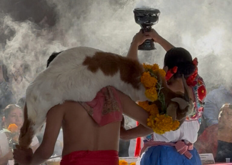 Generará 100 mdp de derrama económica temporada de mole de caderas 2025