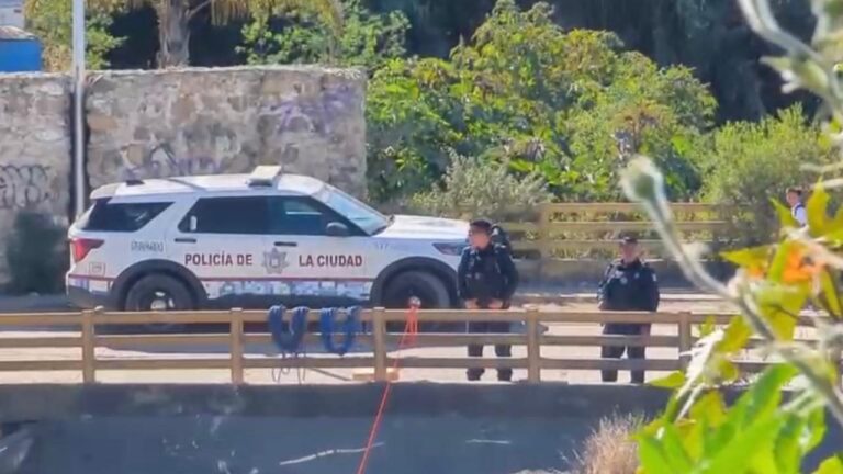 Encuentran una cabeza de mujer, era devorada por perros en La Resurrección