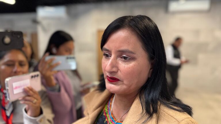 Esther Martinez se perfila para asumir la coordinación del PT en el Congreso