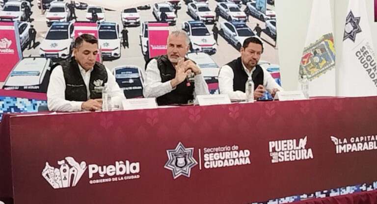 Ayuntamiento atiende más de 800 caídas de árboles