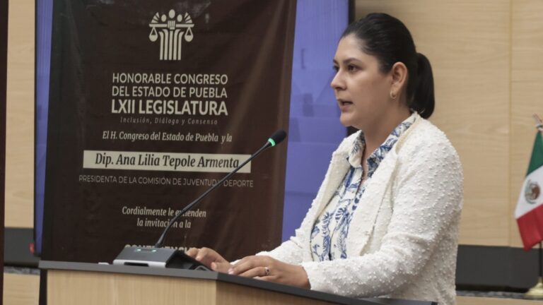 La diputada Ana Lilia Tepole presentó un exhorto para implementar un sistema digital de protección a mujeres