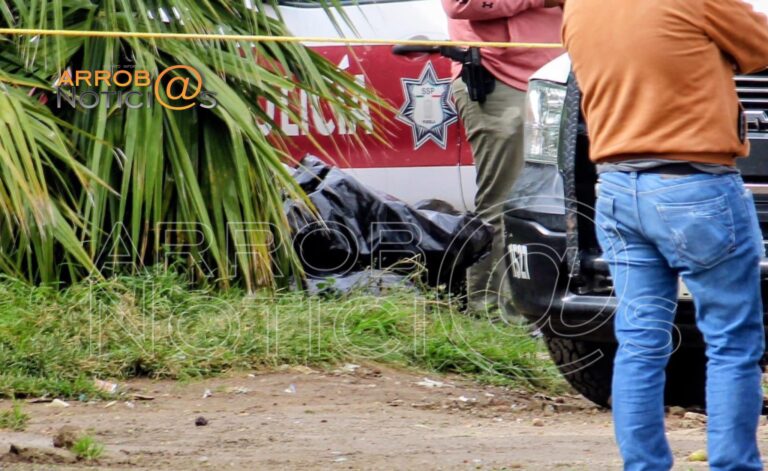 Ubican dos cuerpos desmembr4dos en Amozoc