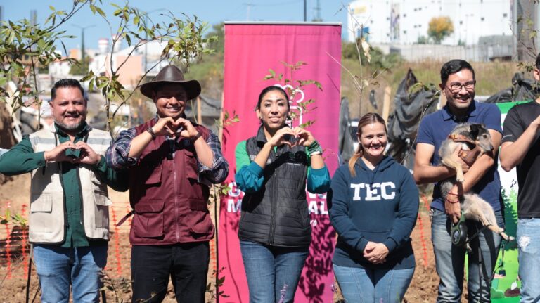 Realiza la diputada Norma Estela Pimentel jornada de reforestación en San Lorenzo Almecatla