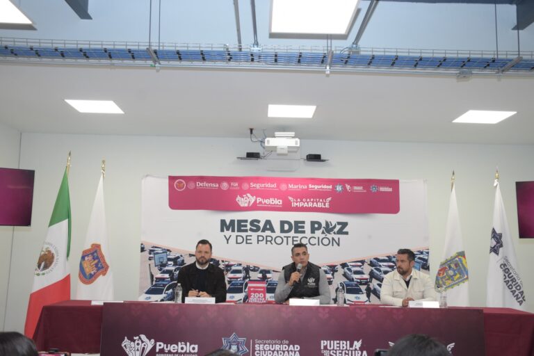 Crearán Unidad de Contrainteligencia: Félix Pallares