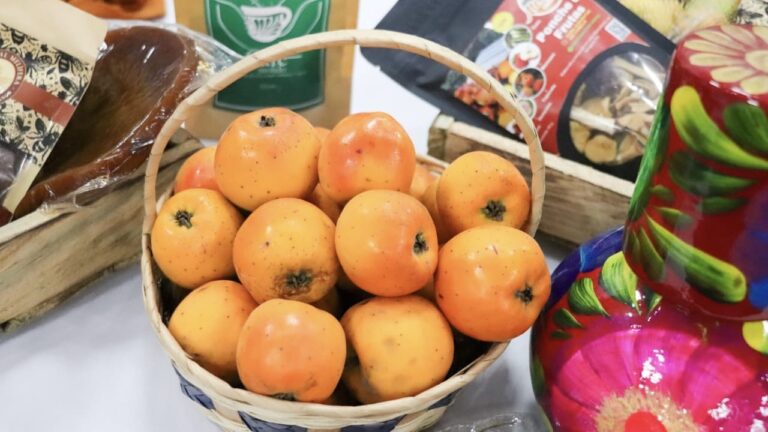 Gobierno de Huejotzingo presenta la cuarta edición de la Feria Agroartesanal del Tejocote en Atexcac