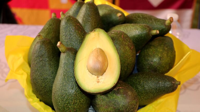 Atlixco te invita a vivir la Feria del Aguacate 2025