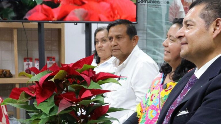 Gobierno de Puebla potencia producción de Nochebuena y consolida a Atlixco como líder nacional