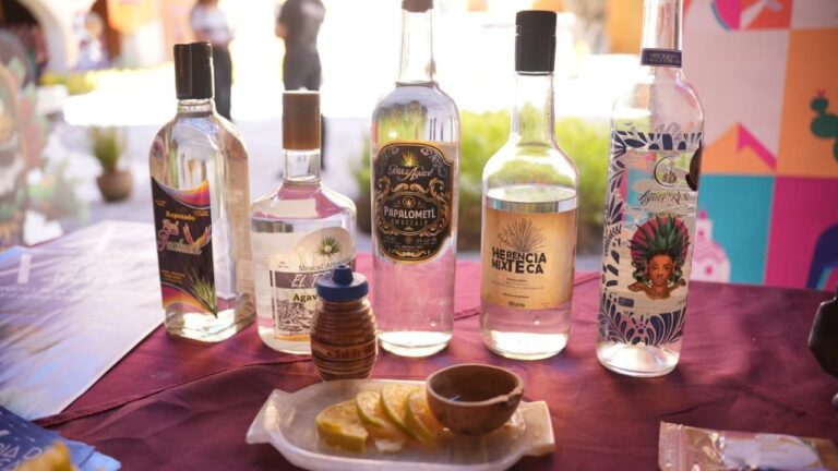 Tochimiltzingo celebra 10ª Feria del Mezcal y el Agave