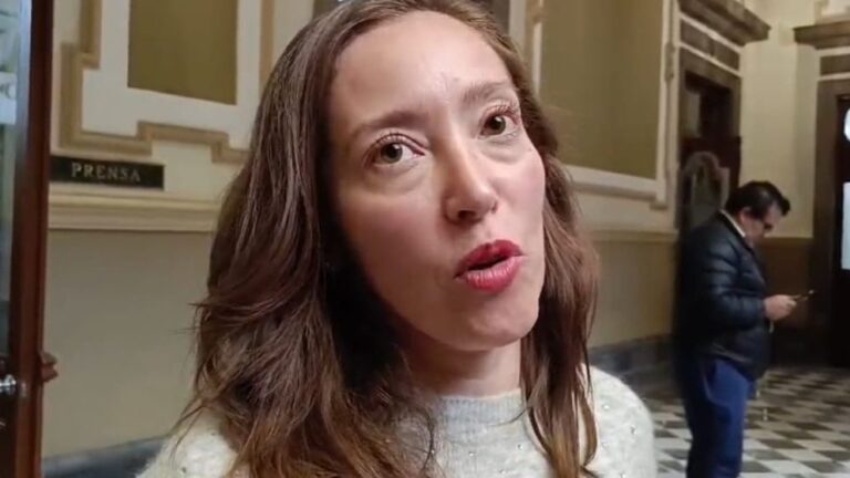 A finales del año, comenzará la rehabilitación del Paseo Bravo