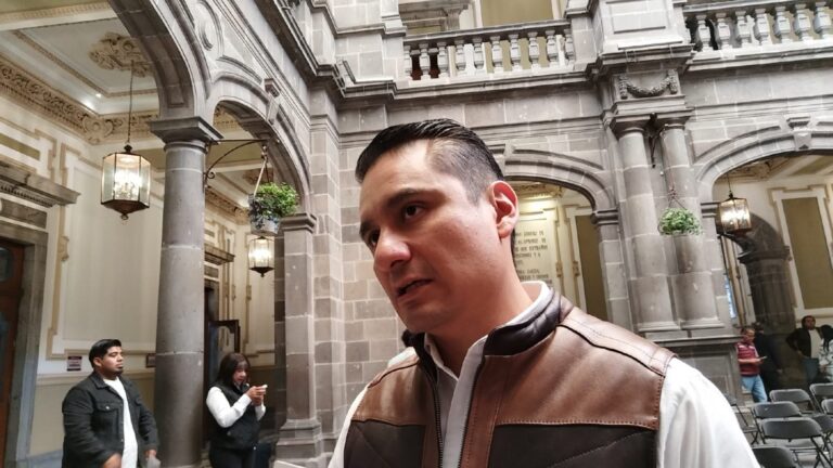 Suman más de 500 denuncias por maltrato animal en la capital