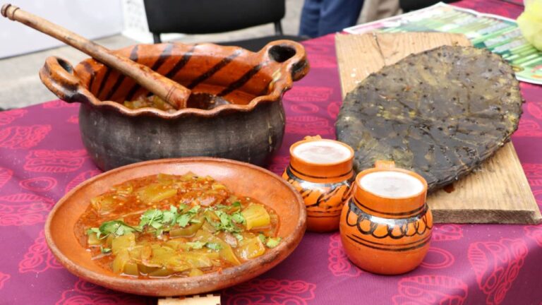 Anuncian 5ª Feria del Pulque y el Nopal Huehue “Mayahuel”