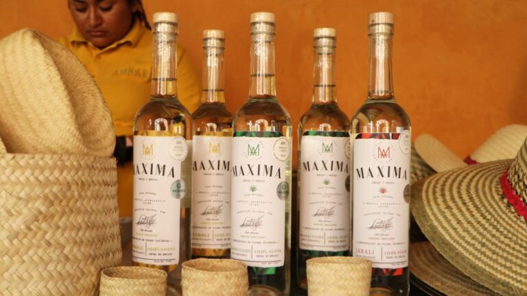 Zapotitlán Salinas invita a celebrar su Feria Patronal 2025