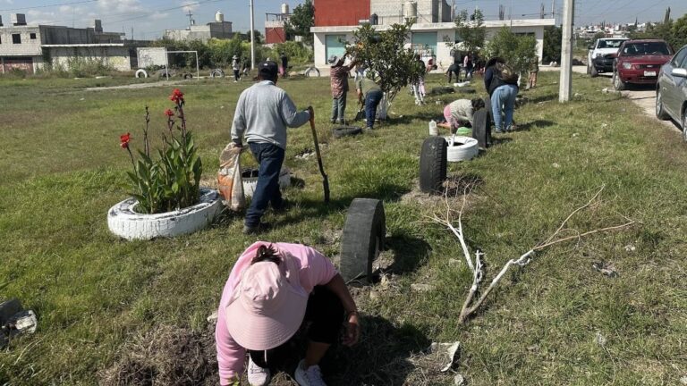 Fortalece Gobierno de la Ciudad acciones de reforestación con 2 mil 600 árboles gracias a Raíces del Futuro en el mes de octubre