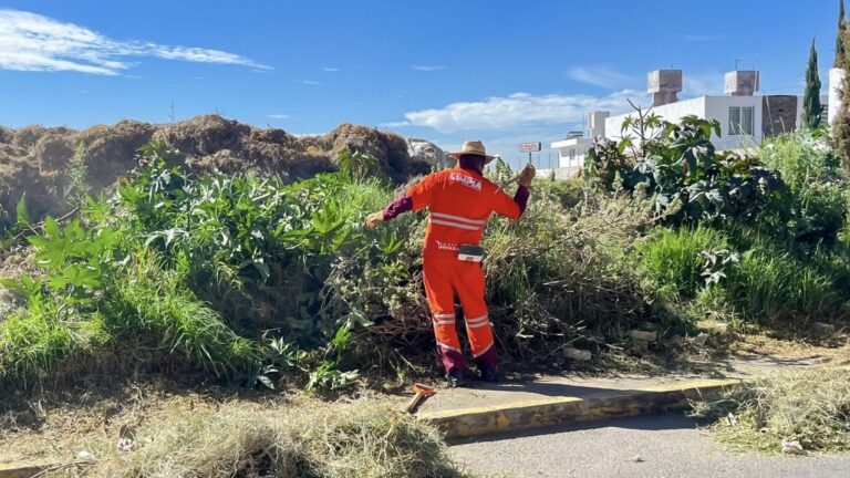 OOSL refuerza limpieza con jornada integral de chapeo y barrido en colonia Santa Margarita
