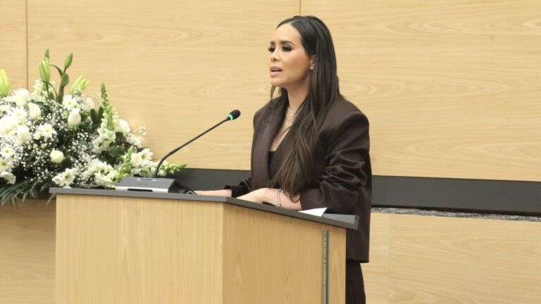 Presenta diputada Graciela Palomares exhorto para fortalecer vigilancia y protección del consumidor en temporada decembrina