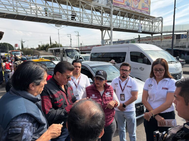Inicia Gobierno de la Ciudad campaña para inhibir la venta de animales en vía pública