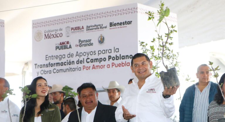 En Puebla, la meta de cero incendios continuará para salvar vidas y a los bosques