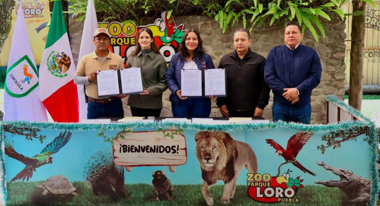 Fortalece San Andrés Cholula atención de emergencias mediante convenio con Parque Loro Puebla