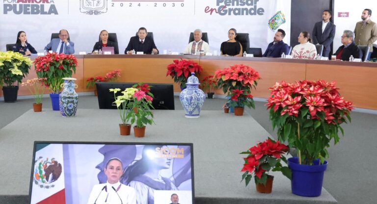 Puebla avanza a la soberanía energética con módulos fotovoltáicos