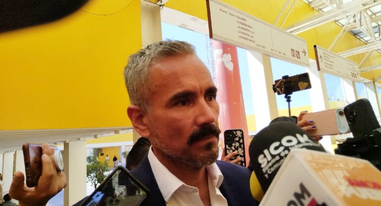 Más de 12 mil podas en árboles y palmeras en el primer año de gobierno de Pepe Chedraui