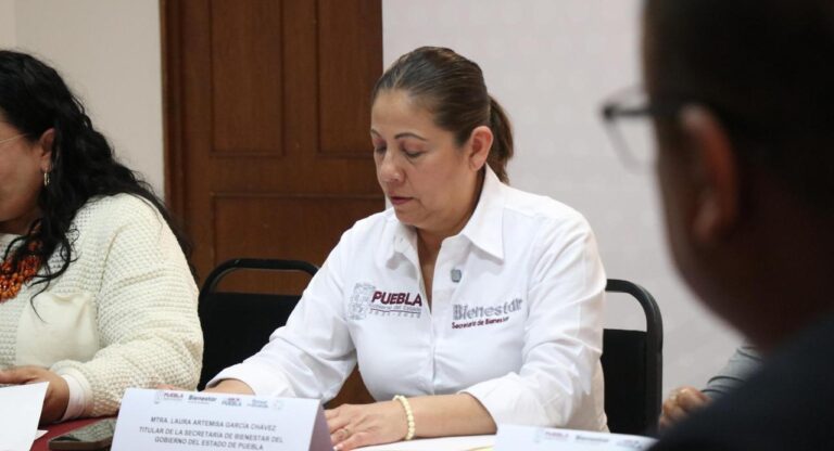 Trabajamos para reducir brecha en desigualdad de género, asegura Laura Artemisa